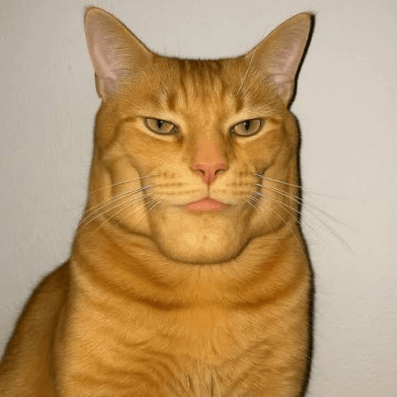 feral mode